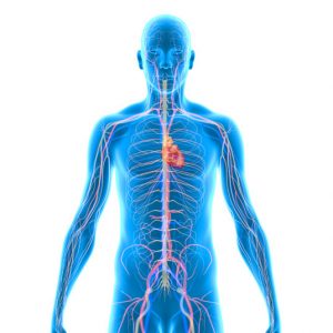 Minimally Invasive Pulmonary Artery Valve Replacement